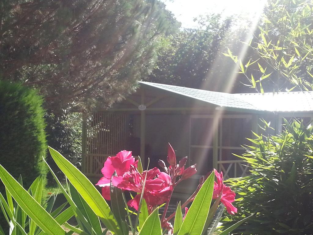 Camping Les Sources Saint-Jean-du-Gard Room photo